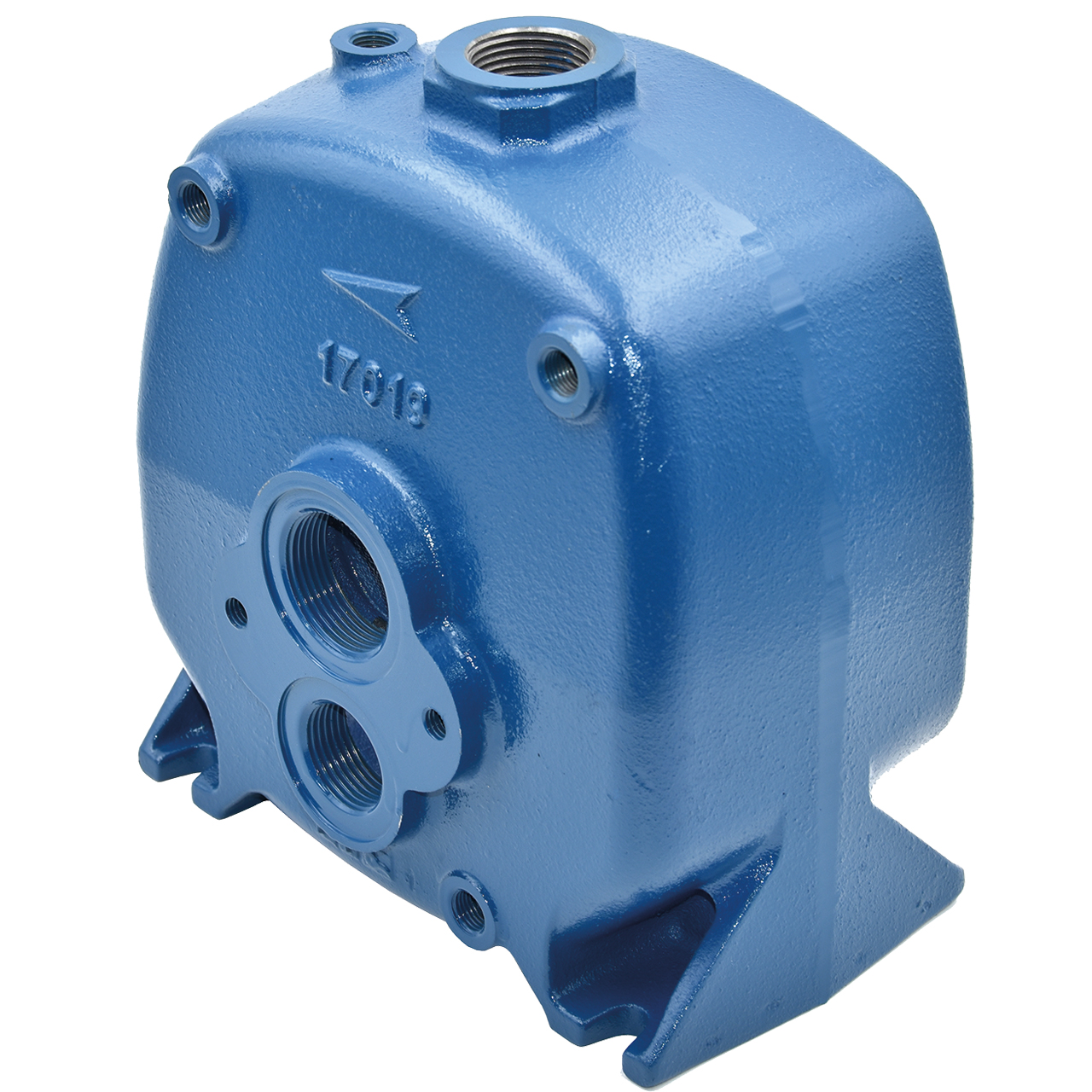 Pumpenkopf Pos. 1